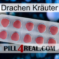 Drachen Kräuter 18